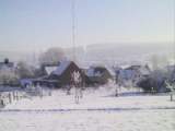 vogel57.JPG