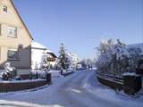 vogel74.JPG